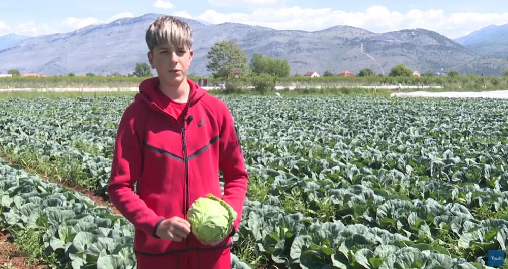 Nova generacija poljoprivrednika: 13-godišnji Aleksa poslije škole...