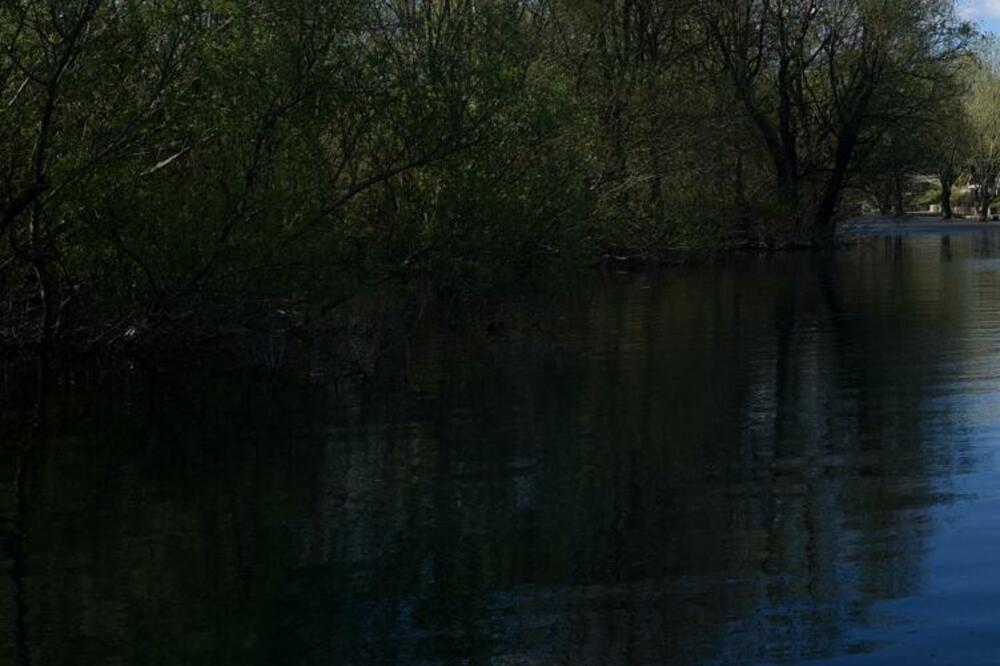 Foto: Boris Pejović