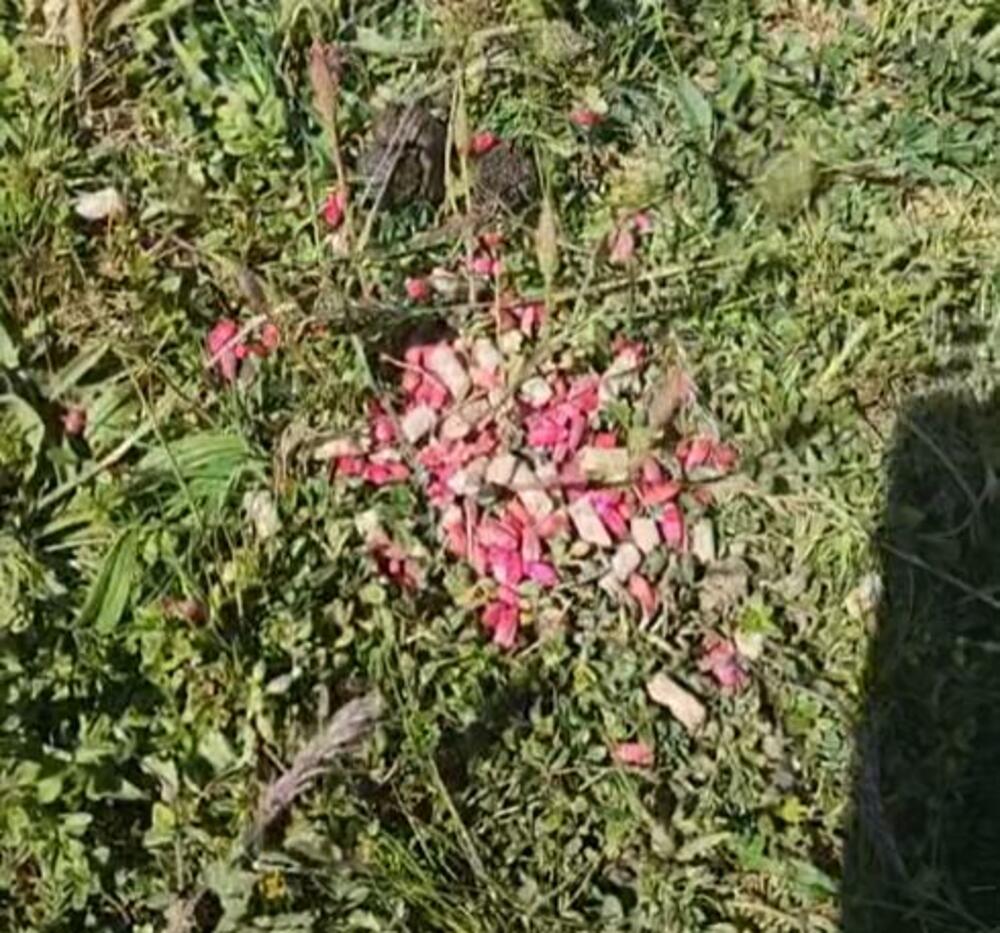 Otrov prosut po državnom imanju na Kapinom polju, policija...
