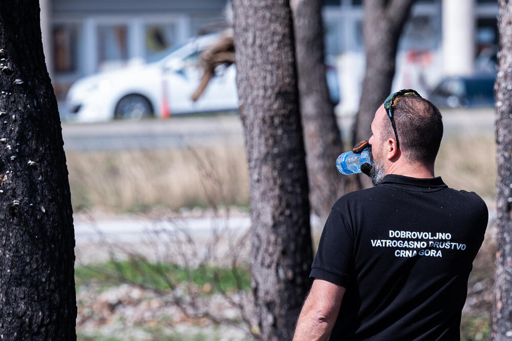Upoznali se na požarištima u okolini Podgorice, Foto: DVD Crna Gora