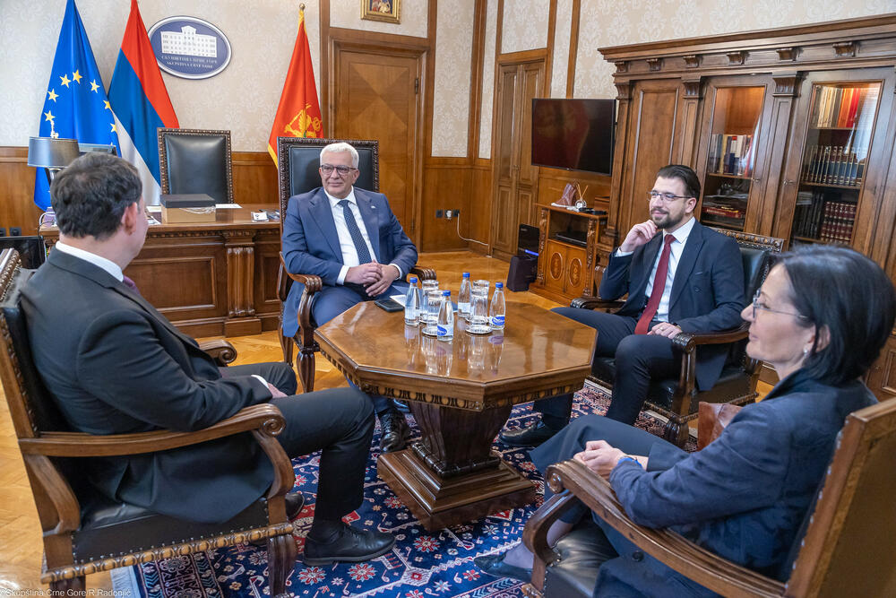 Mandić: Crna Gora posebno cijeni podršku Slovenije u institucijama...