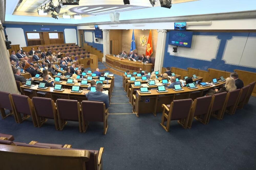 Detalj s današnje sjednice parlamenta, Foto: Printscreen/Youtube