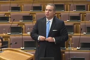 Ivanović: Pitanje o Grenlandu je zakašnjelo, a o Kubi je...