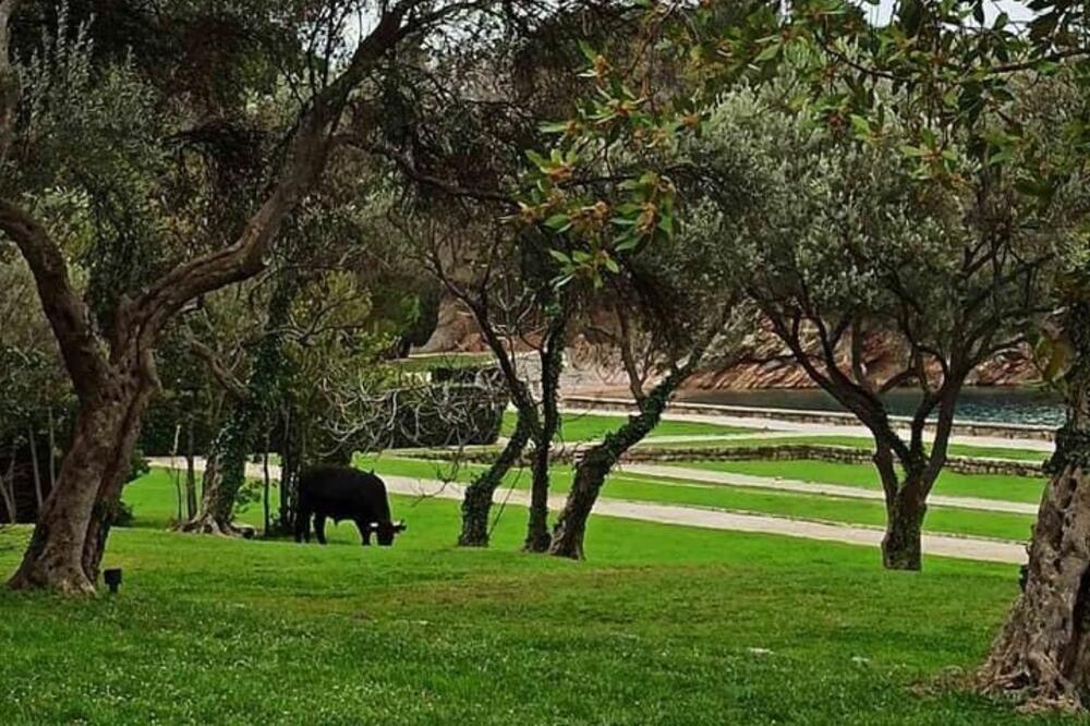 Zabranu gradnje godinama traže i mještani: Miločerski park, Foto: MZ Sveti Stefan