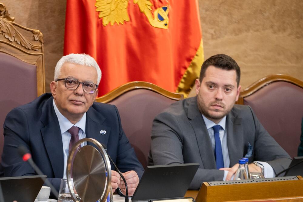 Neki kandidati mogli bi uskoro da se zaposle u parlamentu: Mandić i Stanišić (ilustracija), Foto: Skupština