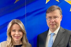 Radović: Crna Gora pokazuje da je evropska integracija proces koji...
