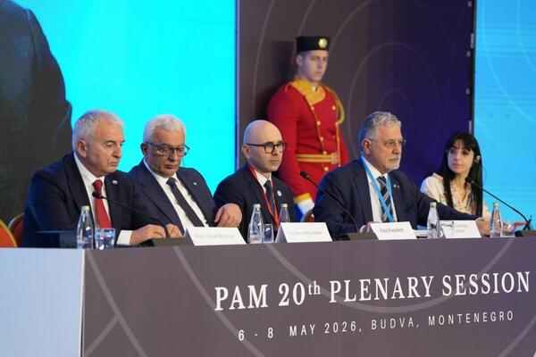 Mandić: Crna Gora ostaje posvećena vrijednostima mira,...