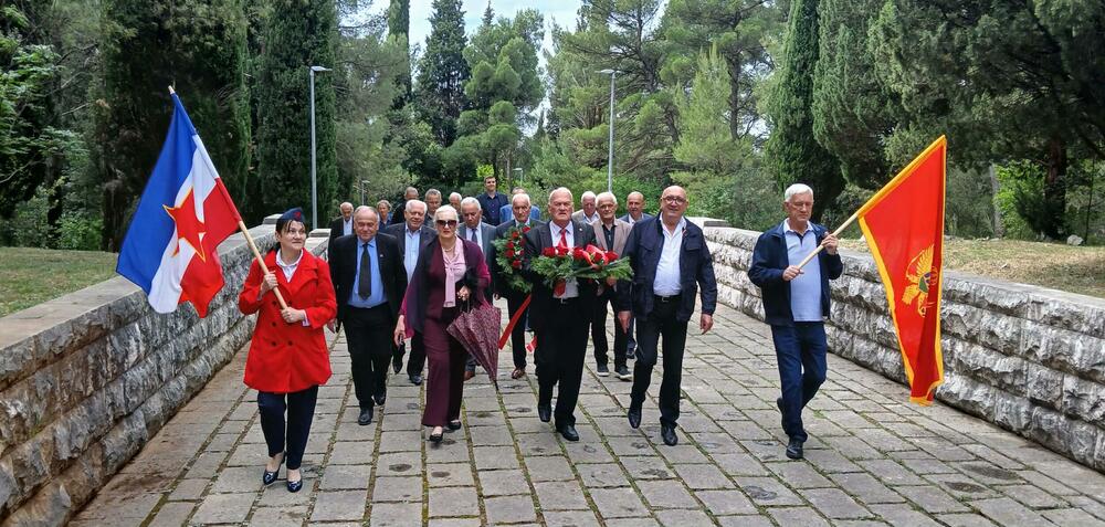 <p>"Deveti maj je simbol herojstva i jedinstva naroda koji su odbranili svijet od fašizma i dan kada se s posebnim pijetetom sjećamo svih onih koji su za odbranu čovječanstva i elementarnih civilizacijskih vrijednosti dali svoje živote", rekao je Radojević</p>