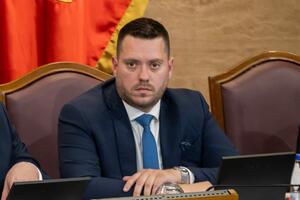 Stanišić: Vrijednosti na kojima je izgrađena savremena Evropa,...