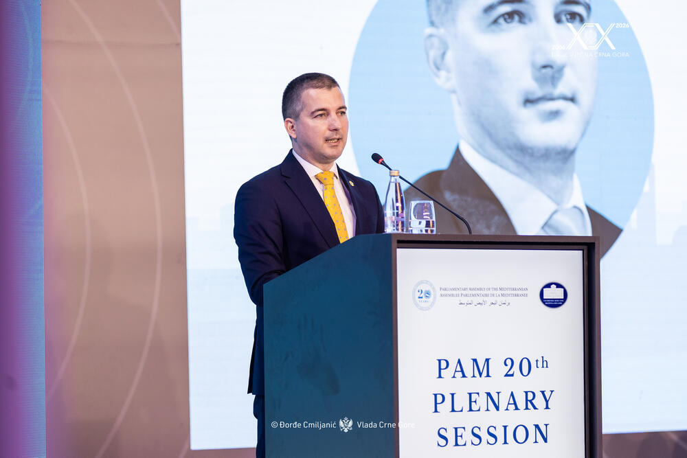 Bečić: Ključ borbe protiv kriminala jačanje institucija u...