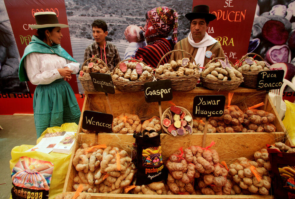 krompir Peru