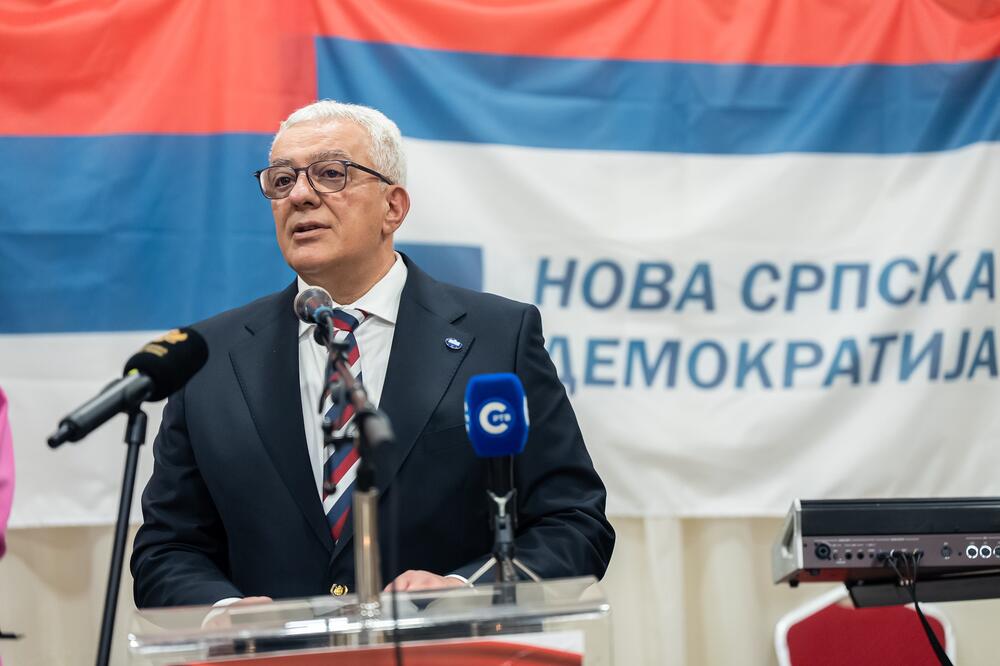 Mandić, Foto: Fejsbuk/NSD