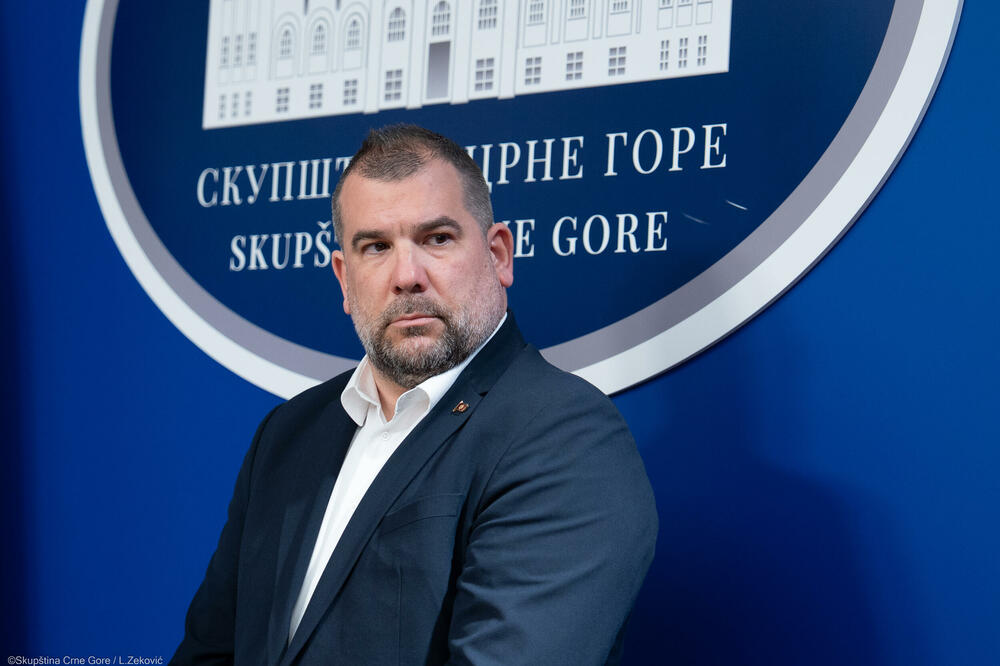 &ldquo;Radević nije prekršila nijedan propis&rdquo;: Krapović, Foto: Skupština