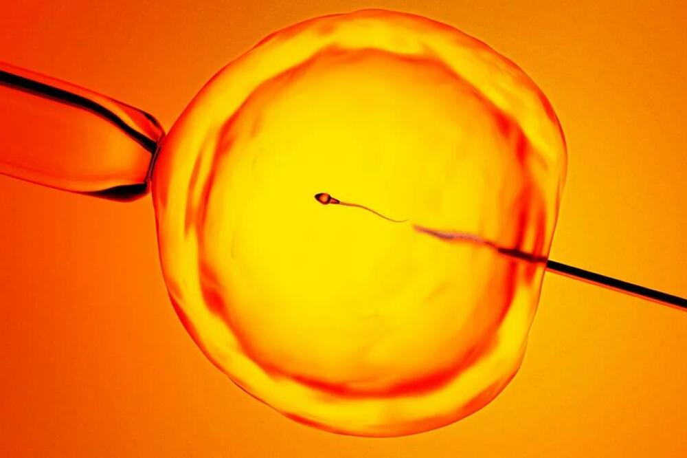 Ilustracija, Foto: Getty Images