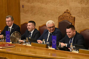 Obezbijedili platu za Rosandić: Vlada usvojila informaciju o...