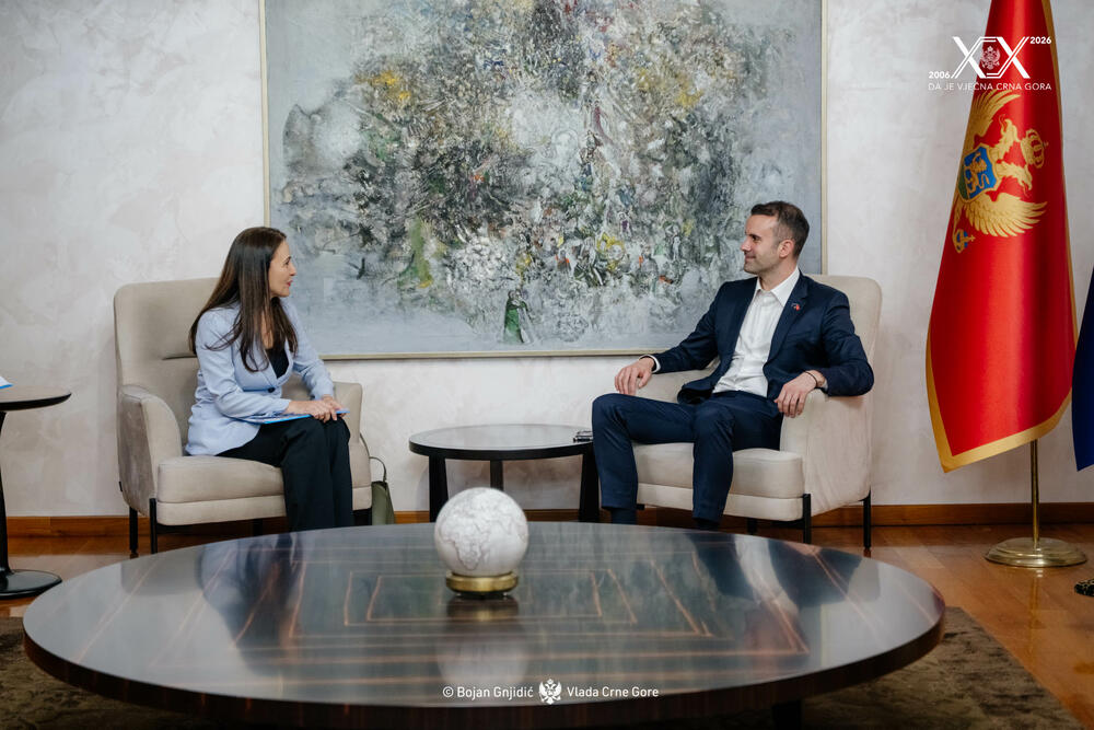 Ređina De Dominićis, Milojko Spajić