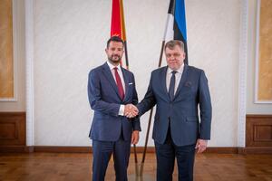 Мілатович - Гусар: Парламентська співпраця є важливою опорою європейської...