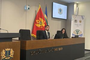 Nenezić sazvao hitnu sjednicu SO Bar o Zakonu o slobodnim zonama