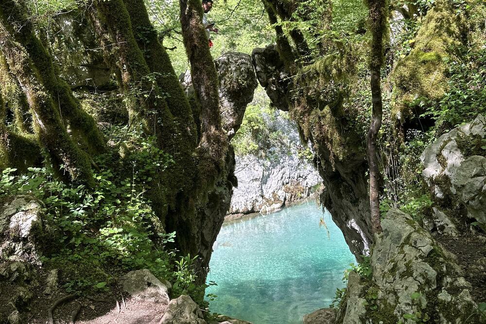 Foto: TO Kolašin
