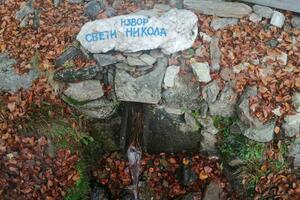 Šta nam govori otkriće izuzetno rijetke alge Srbiji