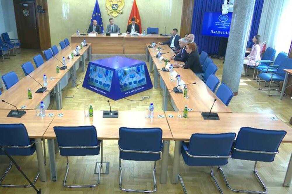 Detalj sa sjednice Odbora, Foto: Printscreen YouTube
