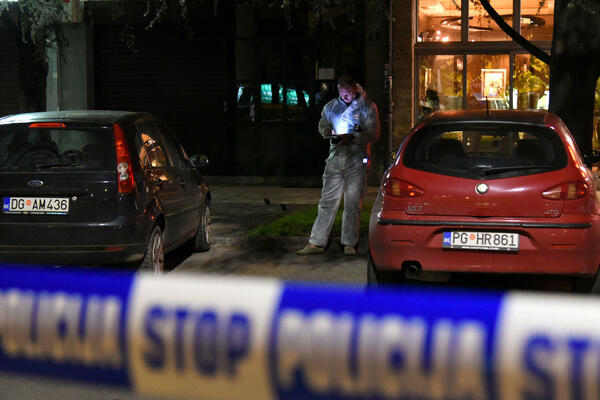 Суд по делу об убийстве Крушчича и ранении Лакича: Ракочевич добивался...