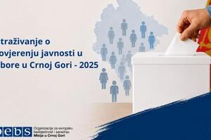 Istraživanje Misije OEBS-a: 65 odsto građana vjeruje da su izbori...