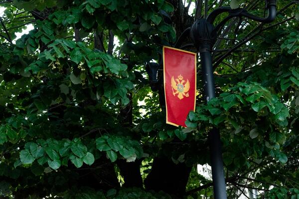 Dystopia of utopia: ecological Montenegro between ideals and reality
