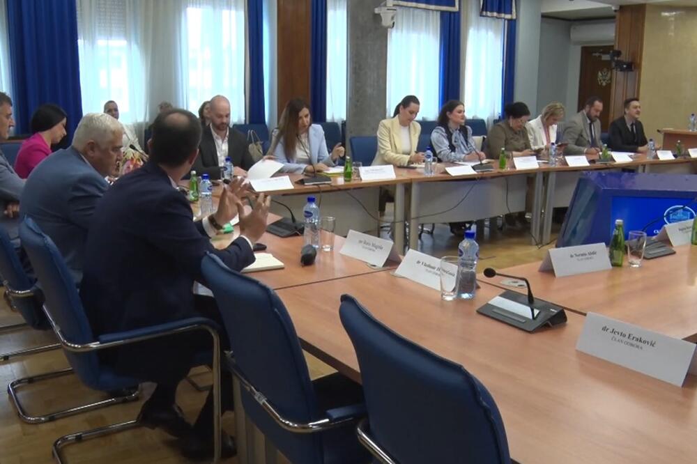 Sa sjednice odbora, Foto: Screenshot/TV Vijesti