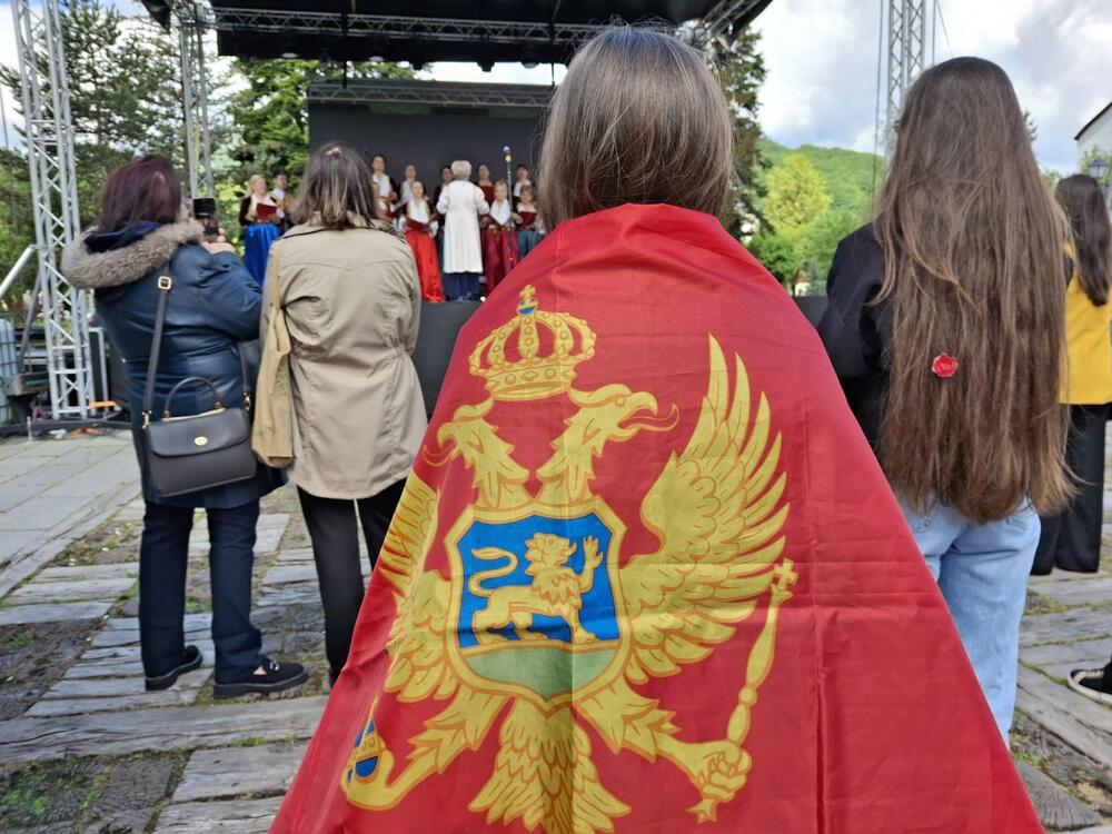 <p>Današnjoj svečanosti, kada je riječ o lokalnim funkcionerima, prisustvovali su jedino predsjednik Skupštine opštine (SO) Vasilije Bulatović i predsjednik Opštine Petko Bakić. Njihove čestitke sugrađanima pročitane su na početku programa Na koktelu su bili i odbornici opozicije, dok su odbornici vladajuće većine uglavnom izostali, kao i potpredsjednici Opštine</p>