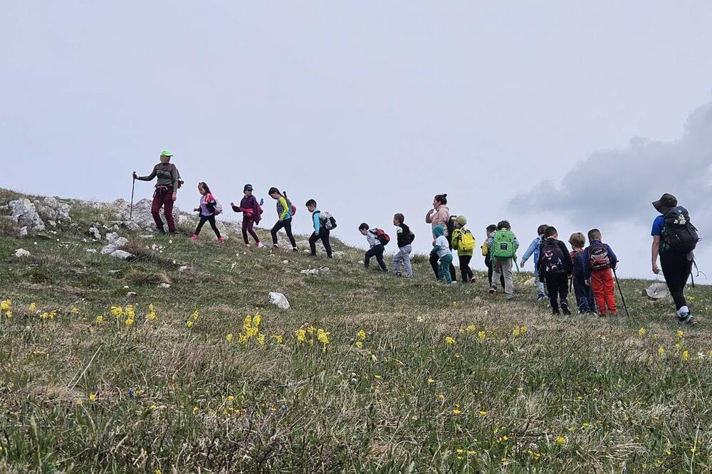Foto: Damira Kalač