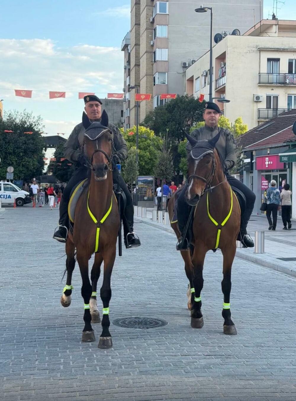 <p>Iz policije su kazali da su uoči koncerta zabilježili prijeteće mejlove lažne sadržine koji su se odnosili na centralnu proslavu na Trgu u Podgorici, a koji su za cilj imali opstrukciju održavanja ove proslave</p>