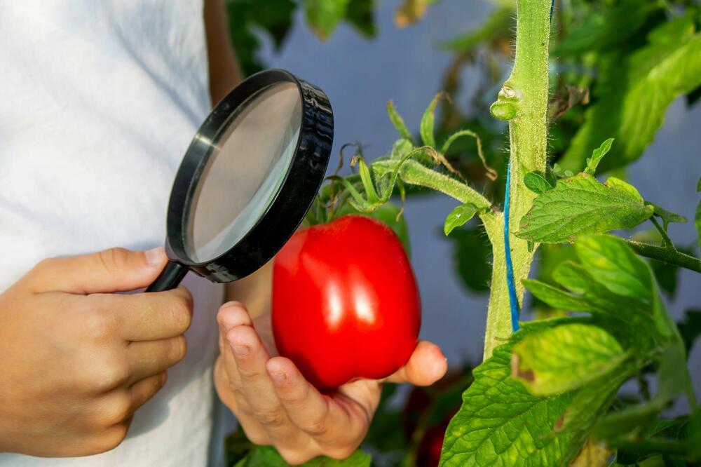 Foto: Shutterstock