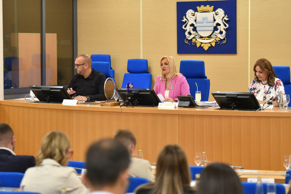 Opozicija ne može do većine za izbor novog šefa Skupštine bez DNP-a ili neke stranke vlasti: detalj sa sjednice, Foto: BORIS PEJOVIC