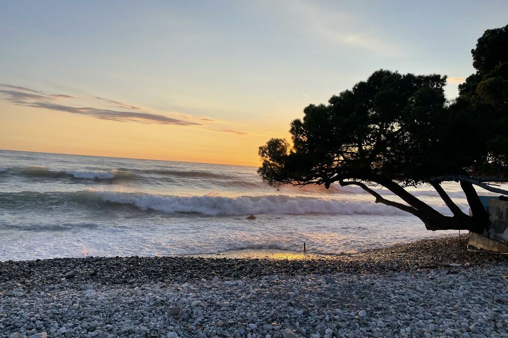Bar, Madžarica, Foto: Milan Vujović
