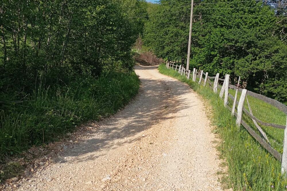 Saniran put, Foto: Jadranka Ćetković