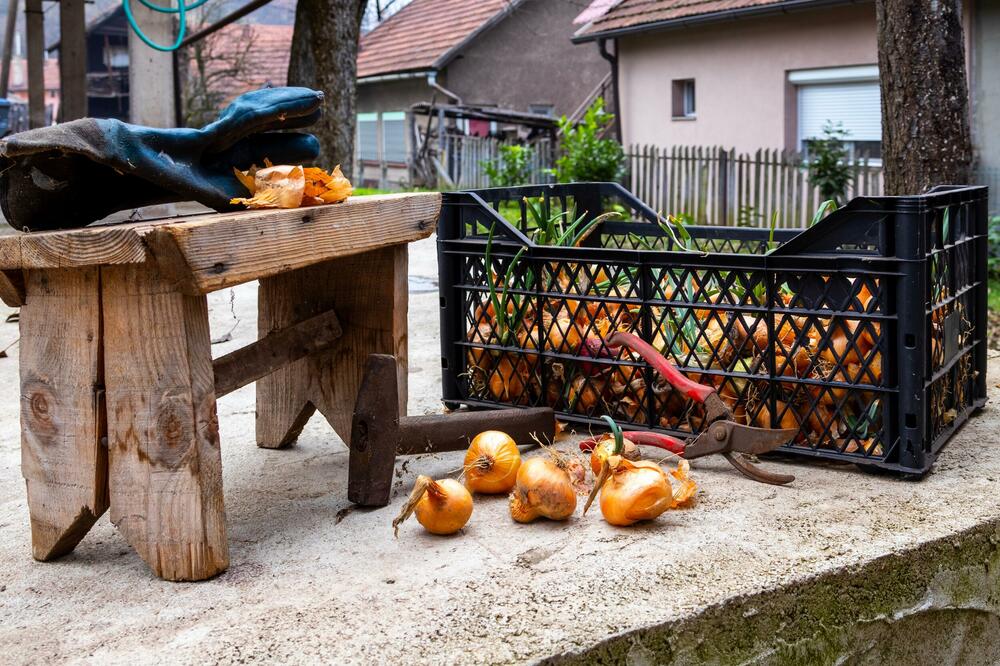 Veliki uvoz hrane opterećuje male privrednike (Ilustracija), Foto: Shutterstock
