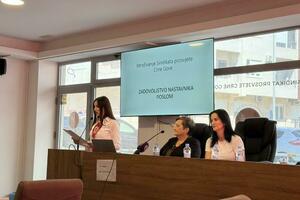 Mala plata, malena i motivacija: Sindikat prosvjete predstavio...