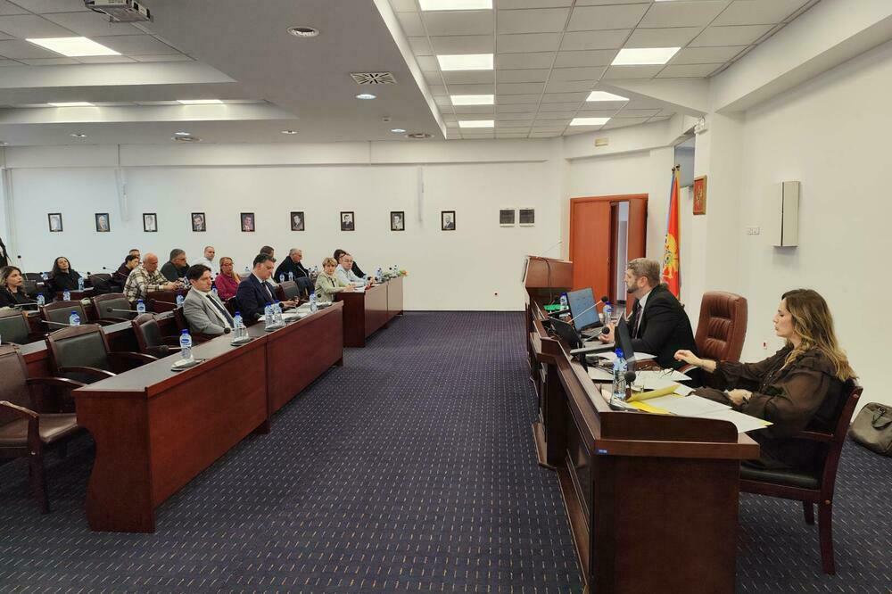 Suština rješenja - sprečavanje zloupotrebe privremenih ovlašćenja: detalj sa sjednice SO Tivat, Foto: Siniša Luković