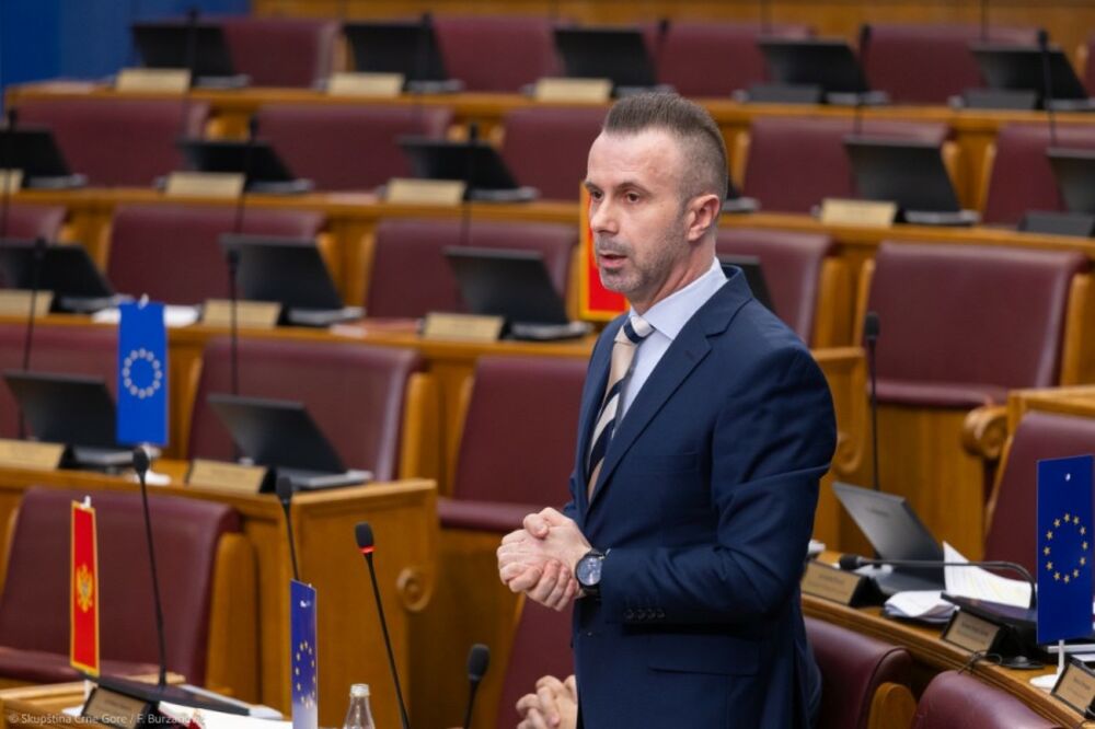 Bogdanović, Foto: Demokratska Crna Gora