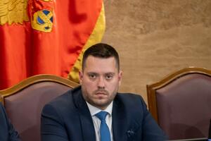 Stanišić: Dobre za Crnu Goru vijesti da Irska planira da proces...
