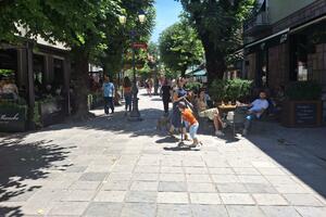 Fokus na turizmu i poljoprivredi: Agencija za projektovanje i...