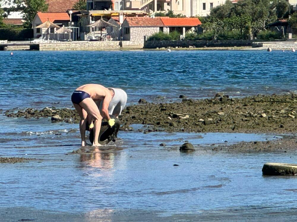 <p>"Kao ljubitelji ove naše male Crne Gore, odlučili smo to očistiti da ljudi ne gledaju ovu sramotu onih koji to bacaju i misle da je to nečija tuđa briga", rekao je don Željko Pasković</p>