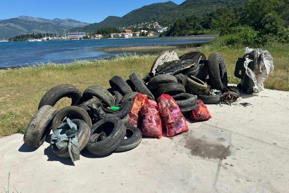 Očišćen dio tivatskog akvatorijuma, u ekološkoj akciji sakupljeno...