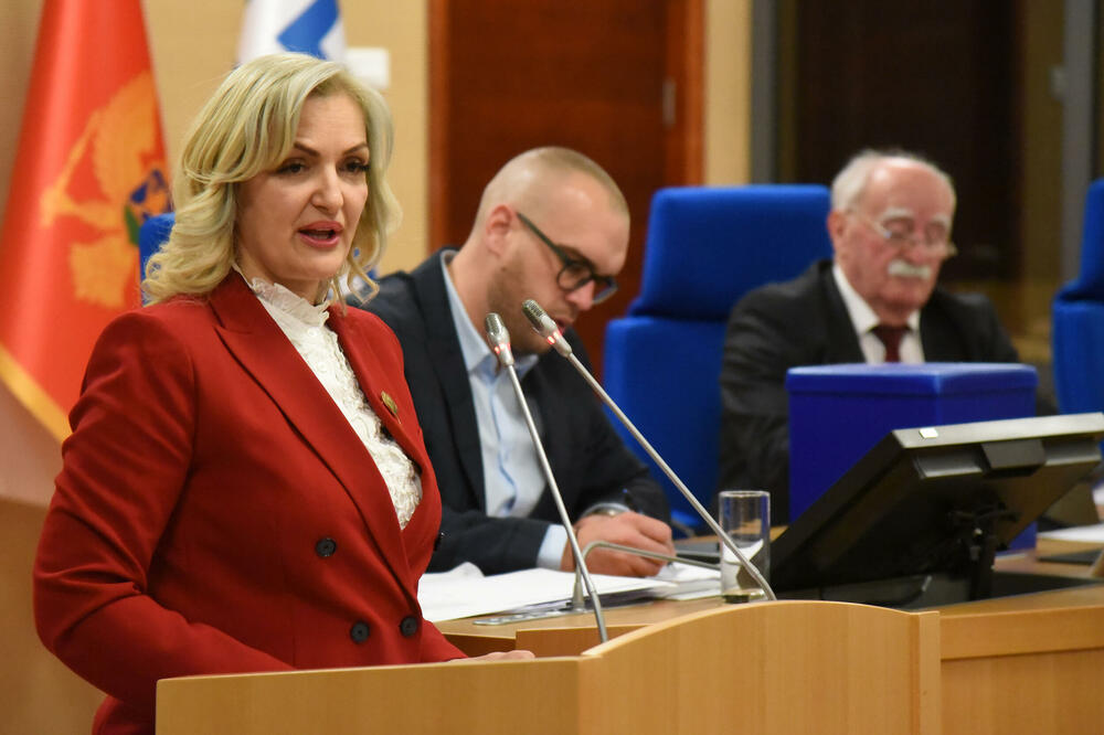 Teče rok od 30 dana za izbor nasljednika Borovinić Bojović na funkciji, Foto: Luka Zekovic