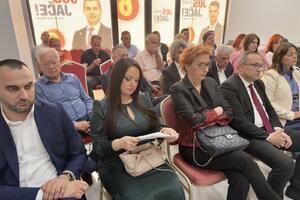 Predsjedništvo Demokrata: Očekujemo formiranje Specijalnog suda u...