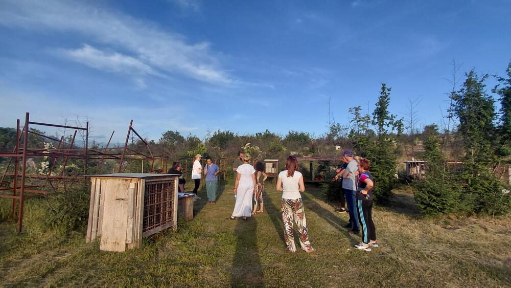 <p>Veterinarska inspektorka je, nakon izvršenog nadzora, konstatovala da se životinje nalaze u veoma lošim uslovima i da ih je neophodno hitno izmjestiti na sigurnu lokaciju</p>