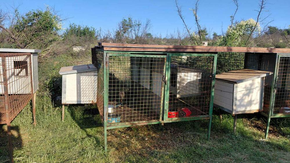 <p>Veterinarska inspektorka je, nakon izvršenog nadzora, konstatovala da se životinje nalaze u veoma lošim uslovima i da ih je neophodno hitno izmjestiti na sigurnu lokaciju</p>