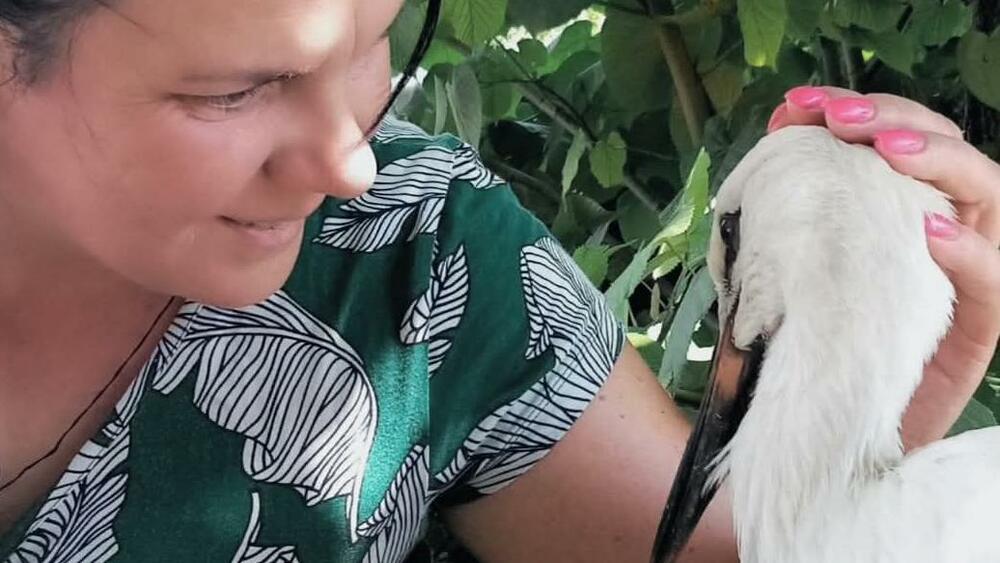 Roda se vratila Jeleni iz Idvora: 