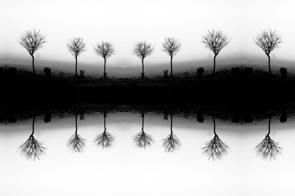 Foto: Shutterstock
